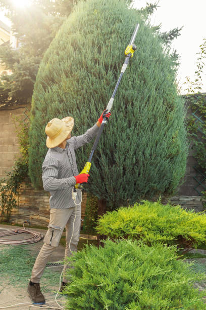 Why Choose Our Tree Removal Services in Sargent, TX?